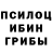 Псилоцибиновые грибы ЛСД Tomas Kasl