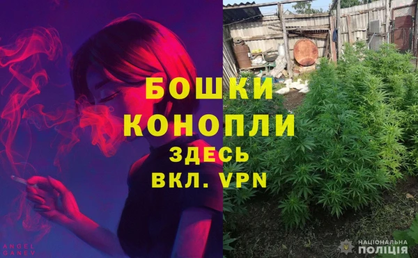 винт Инта