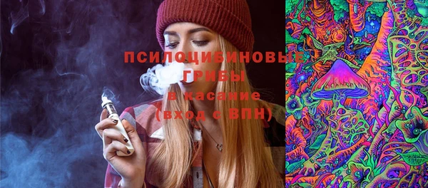 таблы Каменногорск