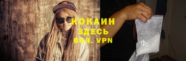 винт Инта