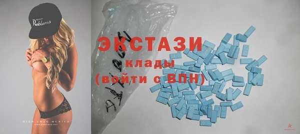 винт Инта