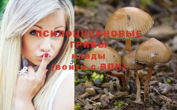 таблы Каменногорск