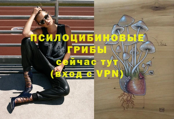 альфа пвп Каменск-Шахтинский