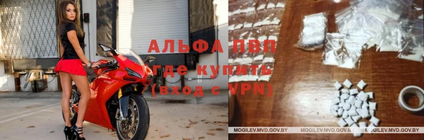 винт Инта
