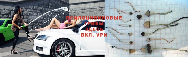 таблы Каменногорск