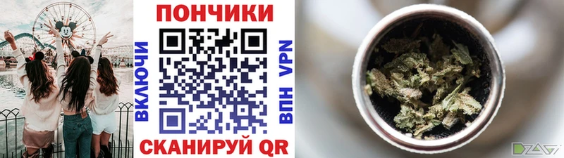 Купить где  Ясный  Бошки марихуана марихуана 